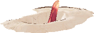 ▲巨大蟻獅