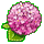 師德見證花