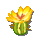 仙人掌花