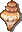 寄居蟹殼