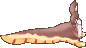 ▲蛞蝓