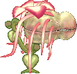 ●食人花