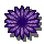 花團錦簇