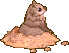 ▲土撥鼠