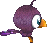 ▲大眼豆豆鳥