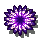 羅煞燎舞