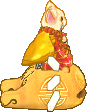 ●木魚貓