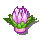 蓮花道冠