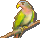 機關青鳥