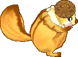 ●黃金飛鼠王