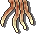 烏賊觸鬚
