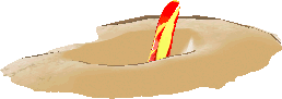▲地獄蟻獅
