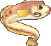 ▲水生鰻魚