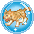 虎娃娃